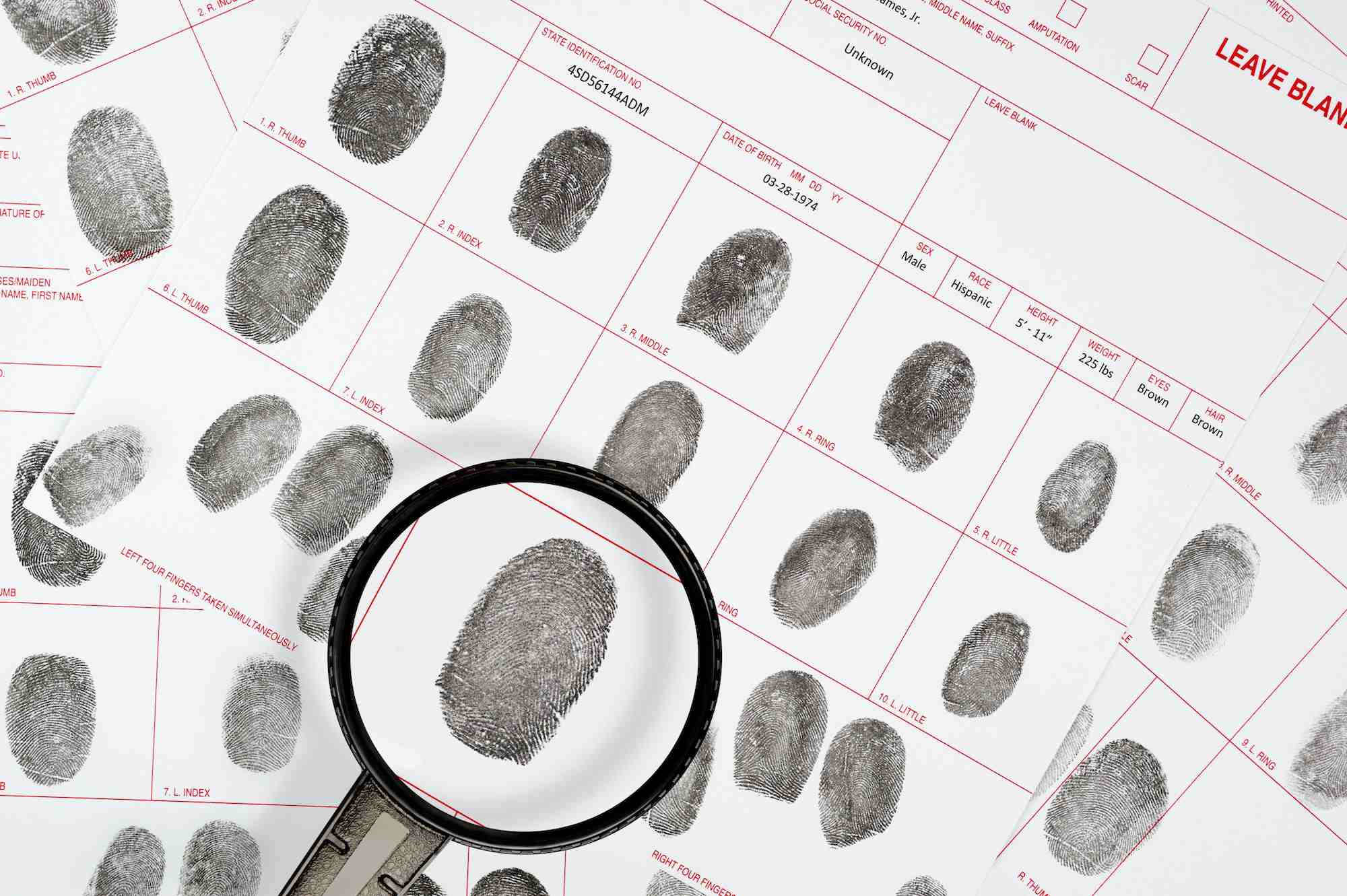 Some fingerprints showing from magnified glass